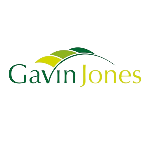 gavin jones